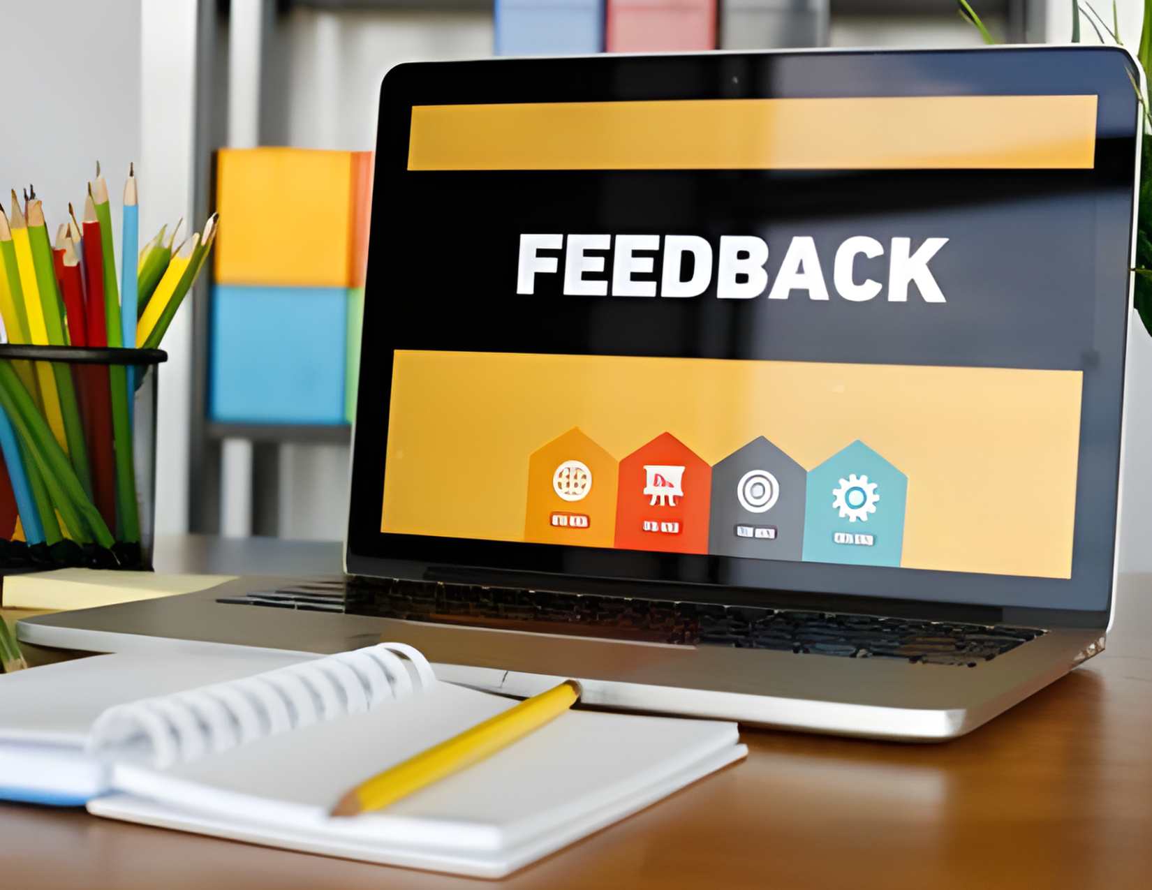 Read Questions to Survey Users Before Designing Your Next School Website